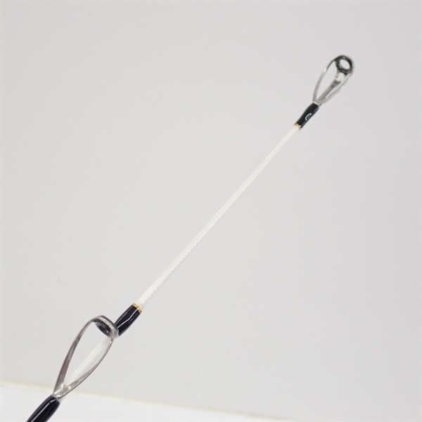 極龍石鯛Ｍ５２５